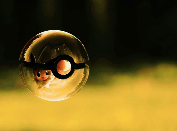 pokemon