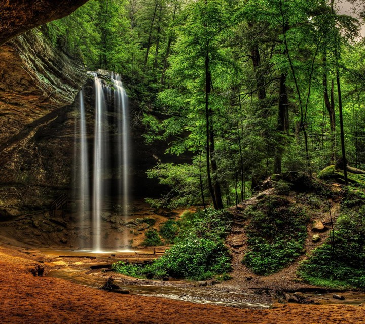 nature