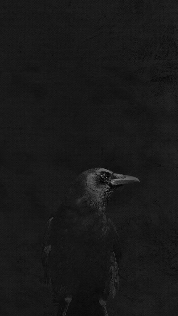 Study in Black