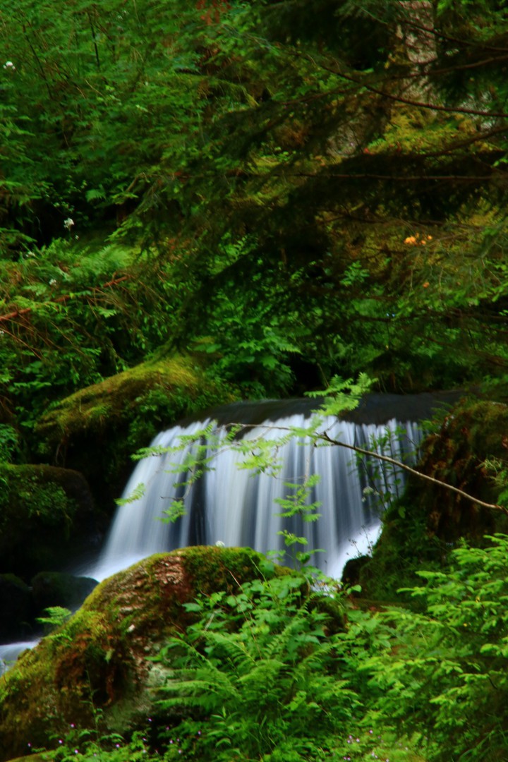 Kleiner Wasserfall