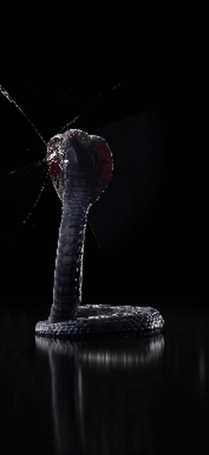 Don't Touch My Phone with Snakes broken glass