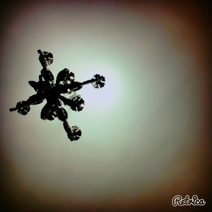 lampa