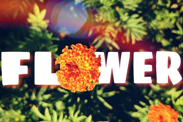 orange..
