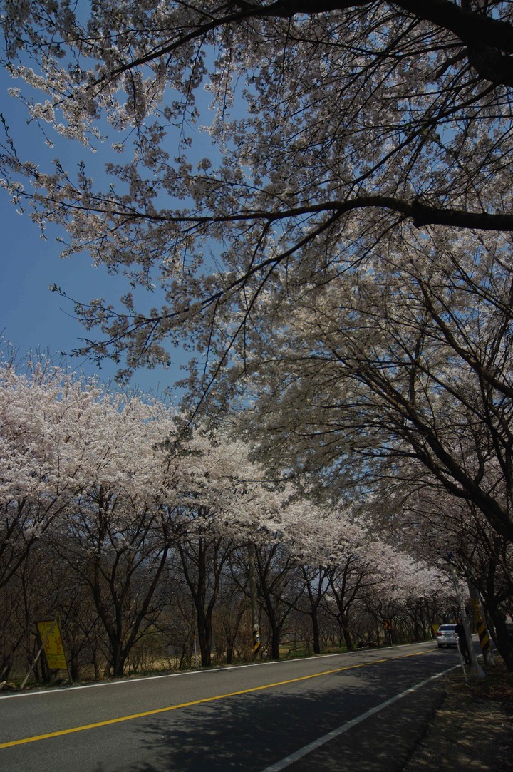 Spring
