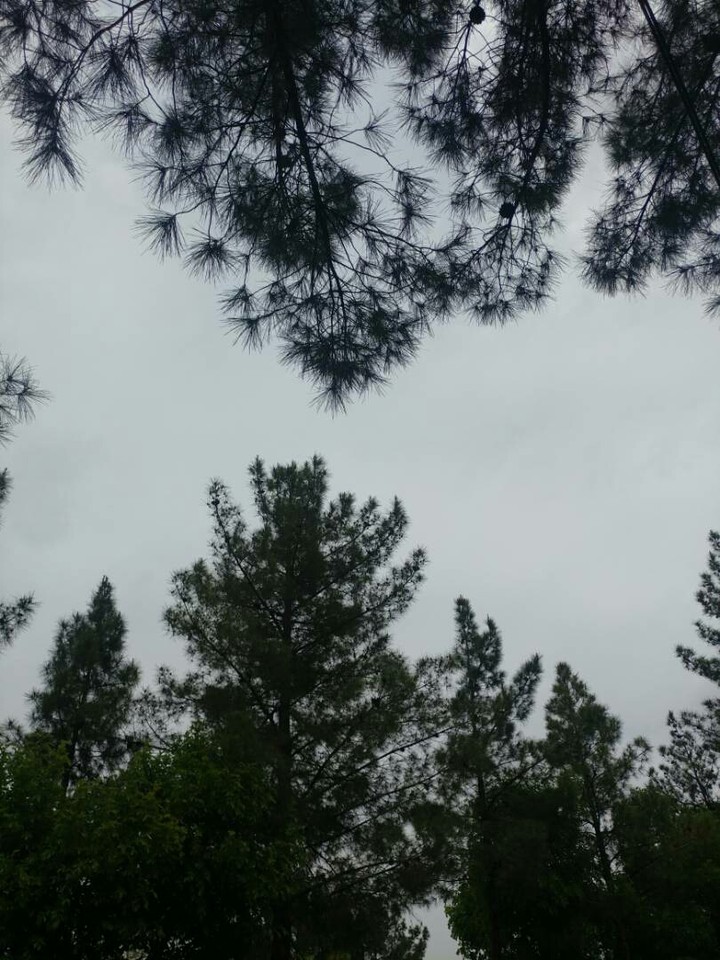 photography by phone