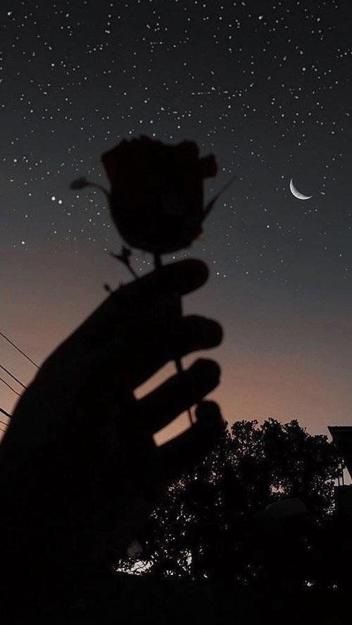 sous le clair de lune