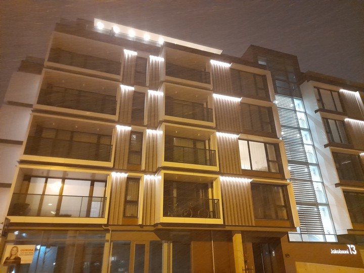 Snowstorm