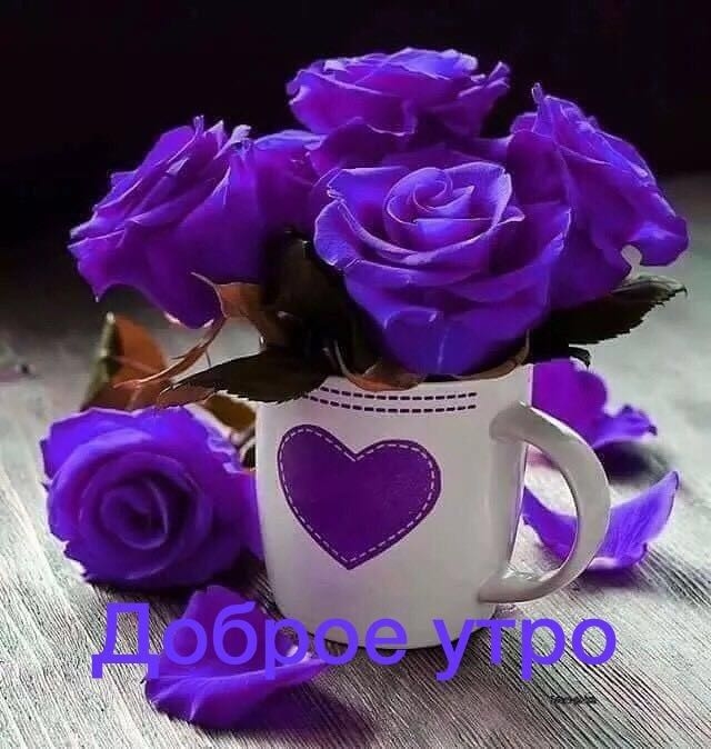 цветы
