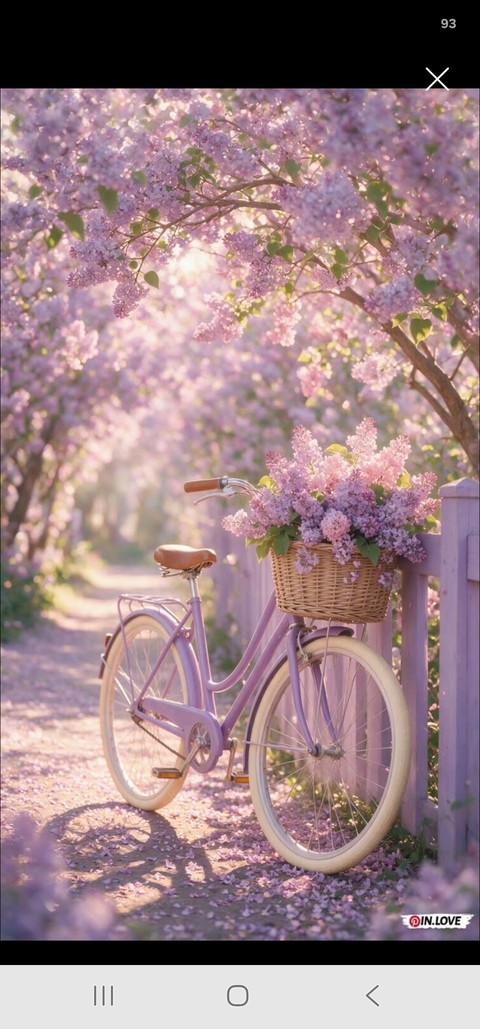 Flower, Pink, Petal