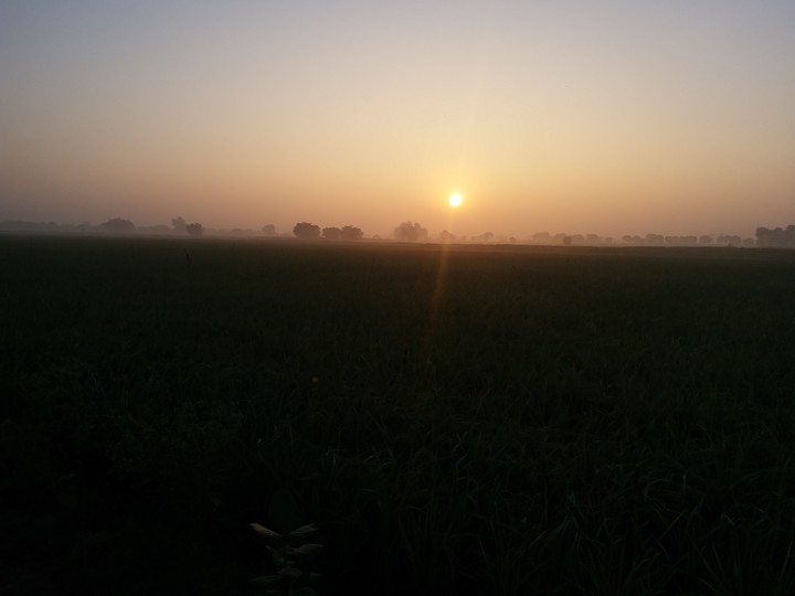 village evening