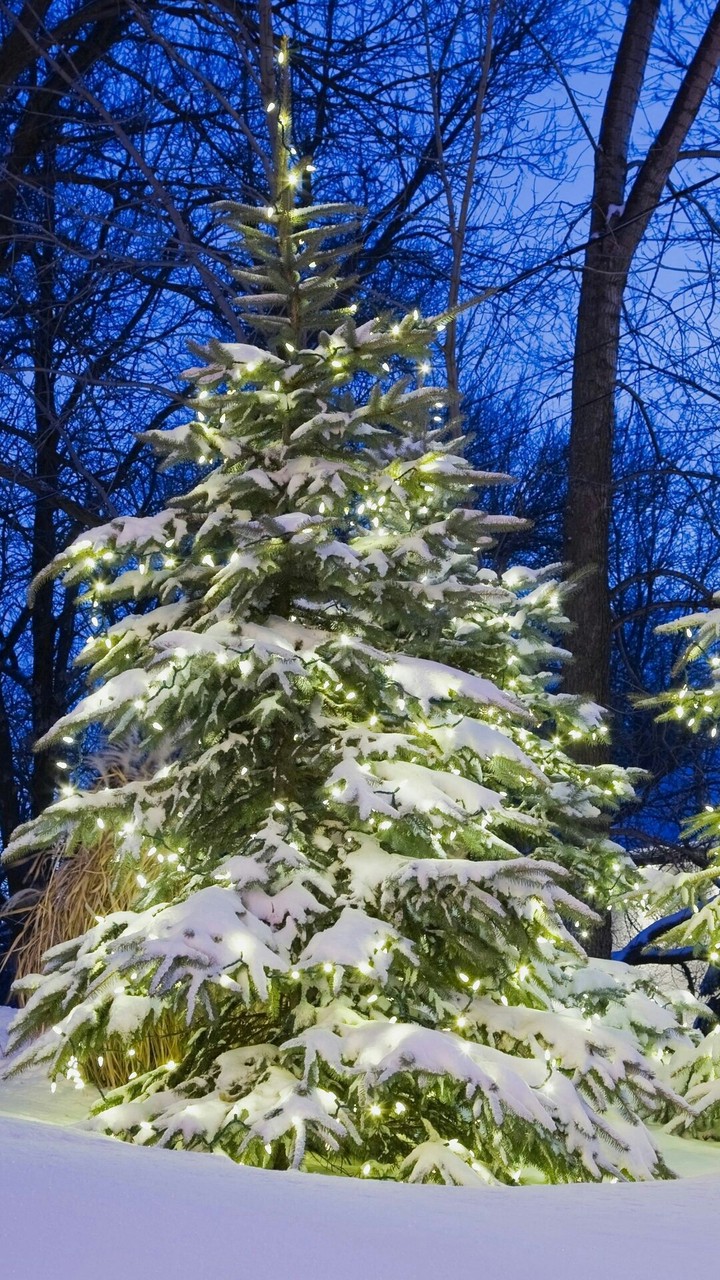 Enjoying winter wonderland!