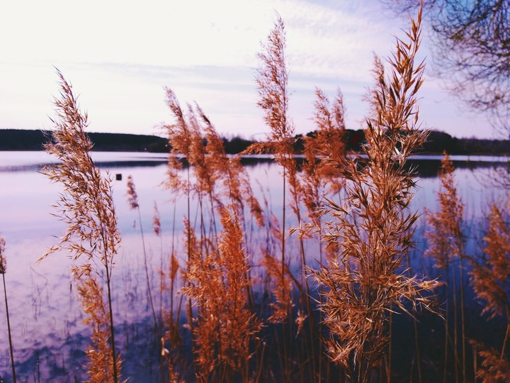 Nature