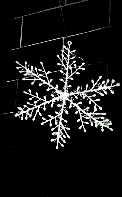 snow flake