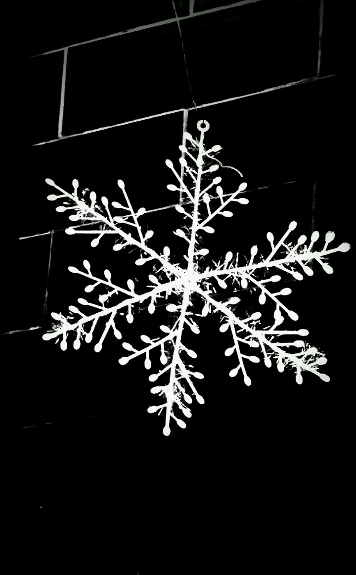 snow flake