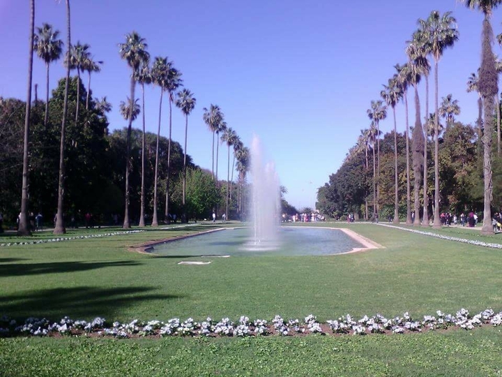alger