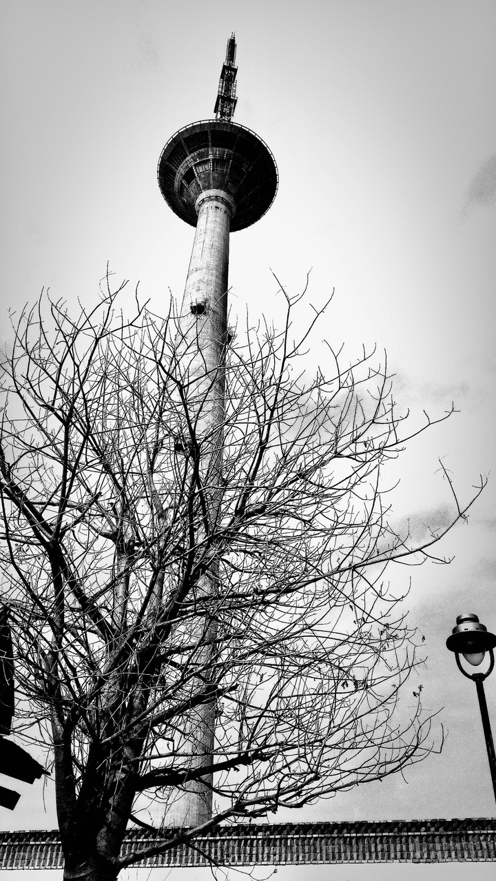 black and white
