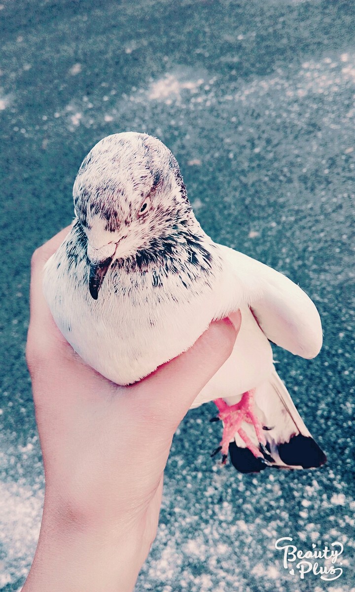 ❤❤