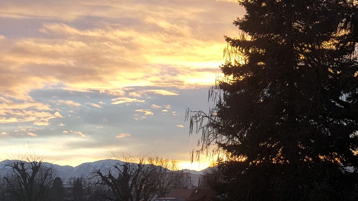 evening