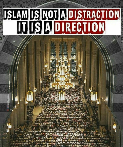One Ummah, One Direction!