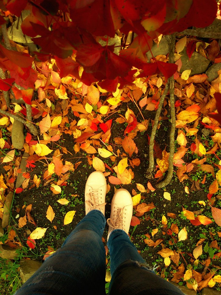 autumn