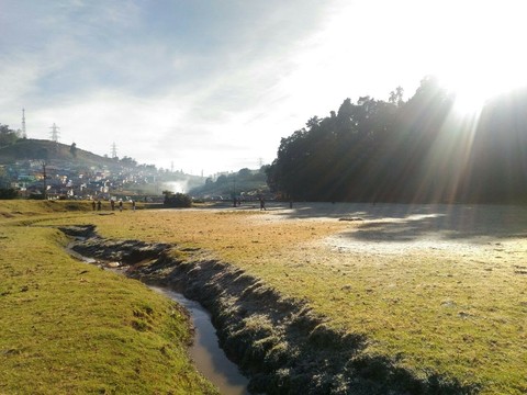 Morning Sunshine