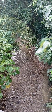 freshwater,