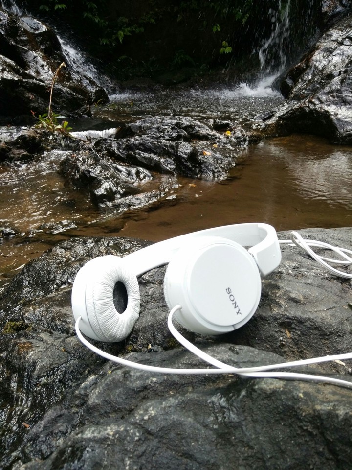 Sony headphones