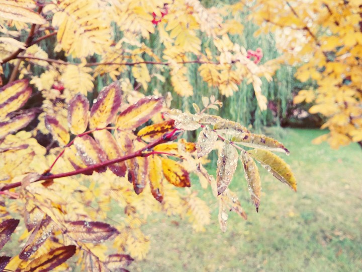 November