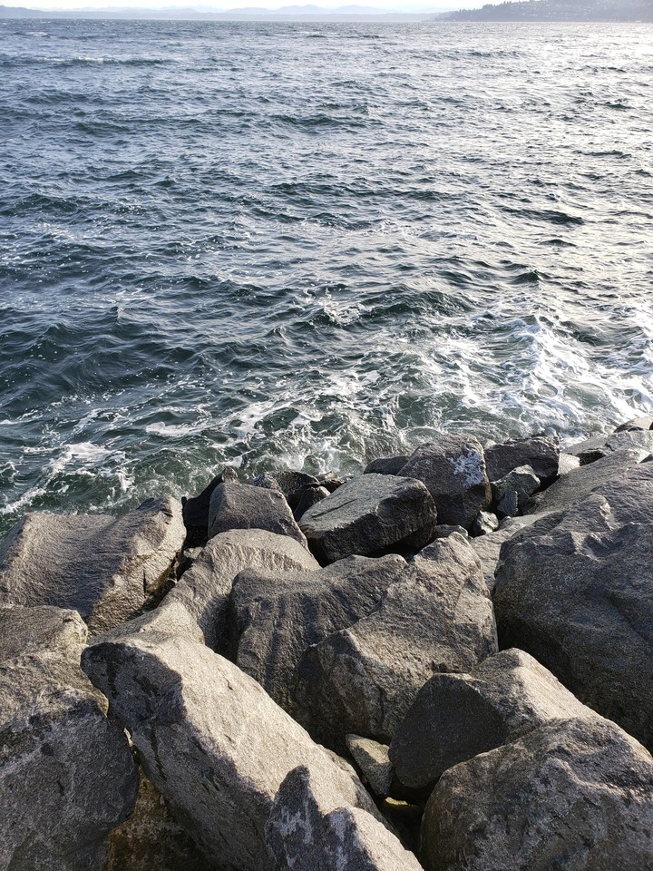 rocks near the water