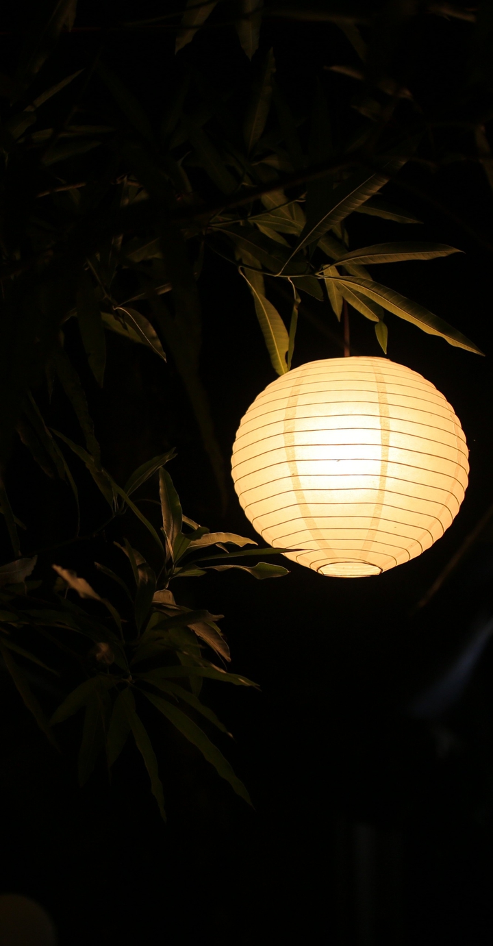 Light