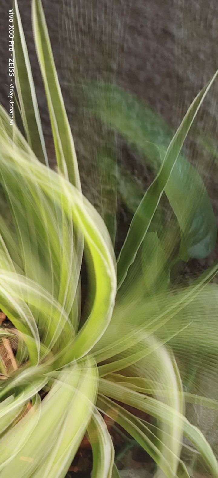 Long Exposure