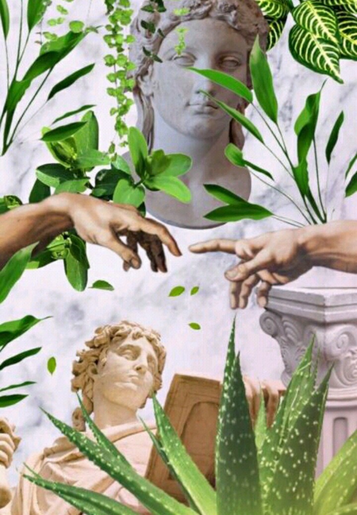 ✨