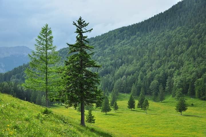 Planina Dol