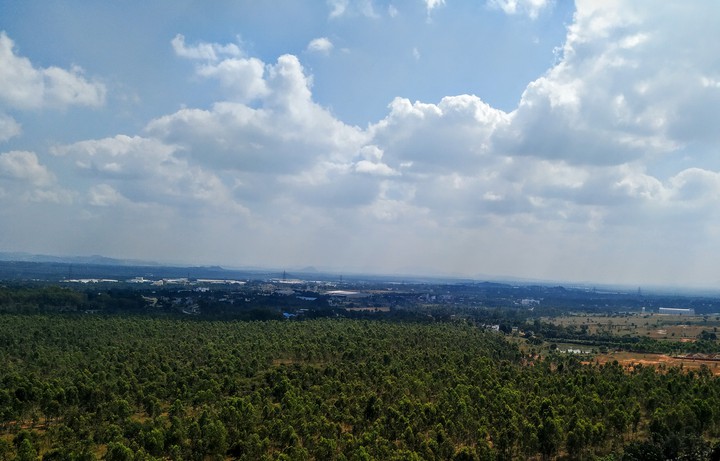 the cool clouds