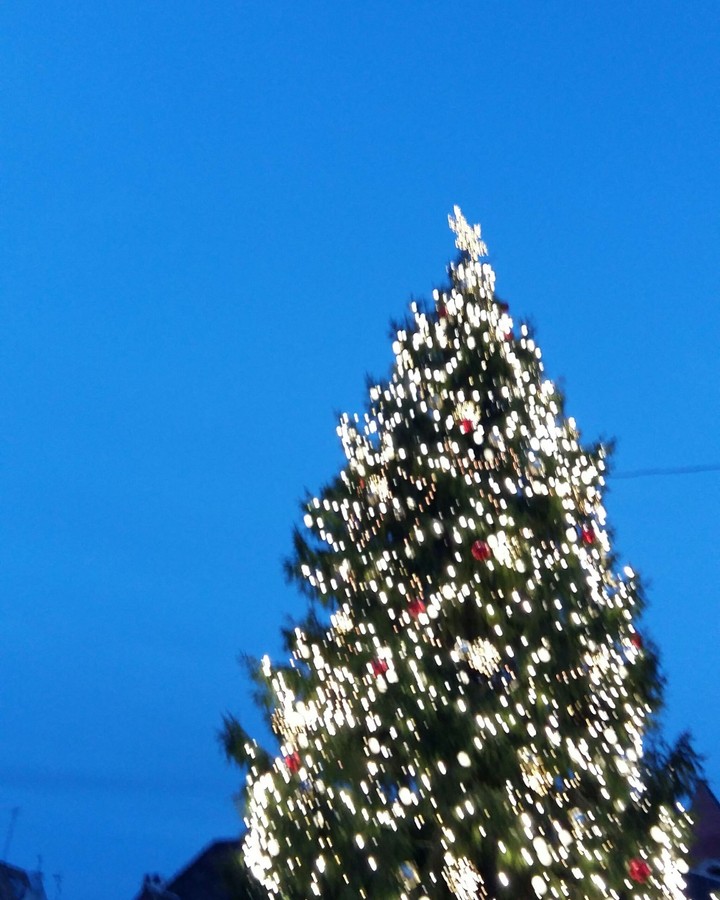 Christmas❤❄