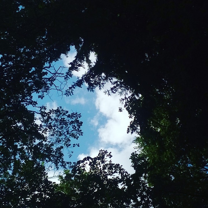 1.07.2017