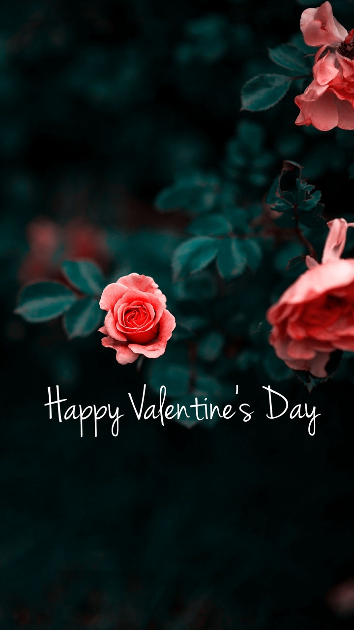 Happy Valentine's day