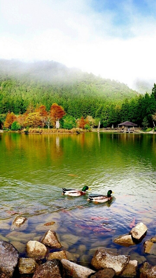 Море