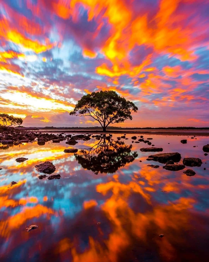 Fire Sky