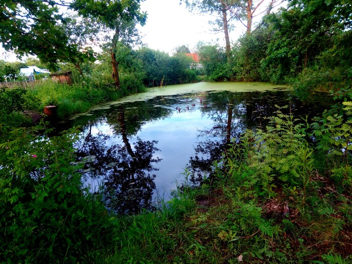 nature