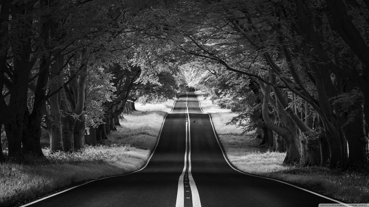 Black road landscape....