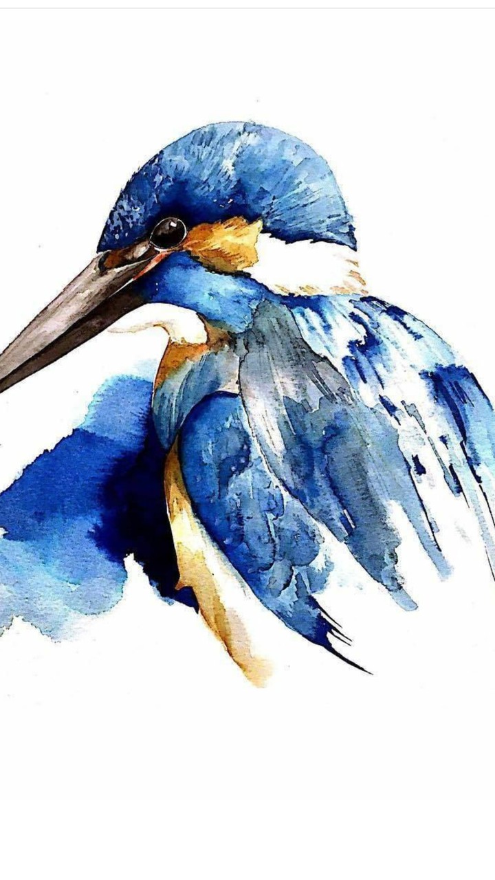 bird...