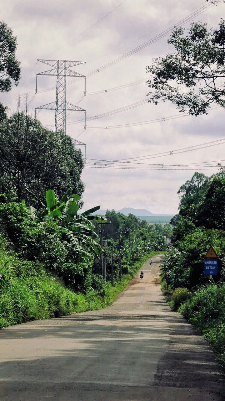 5M