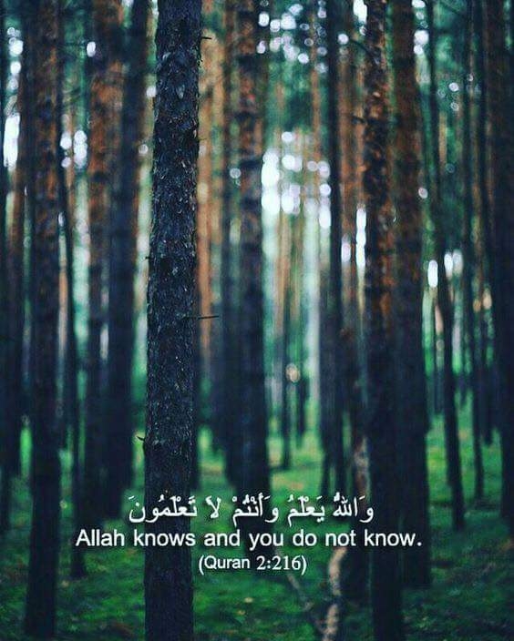 Allah