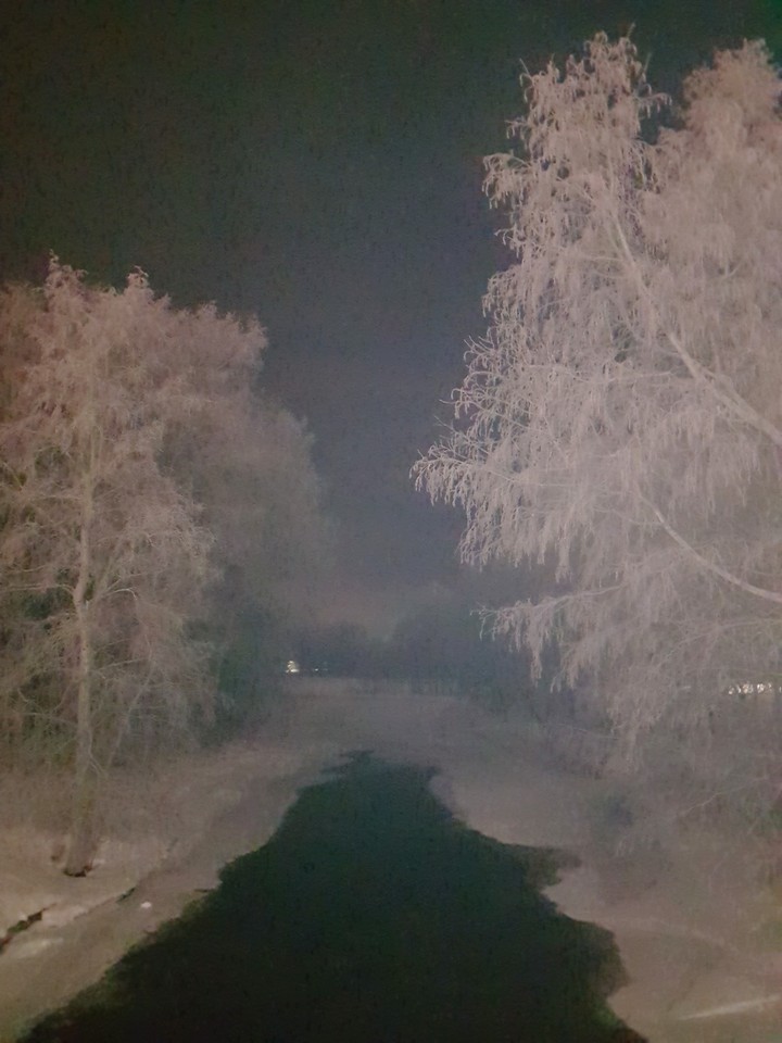 Winter