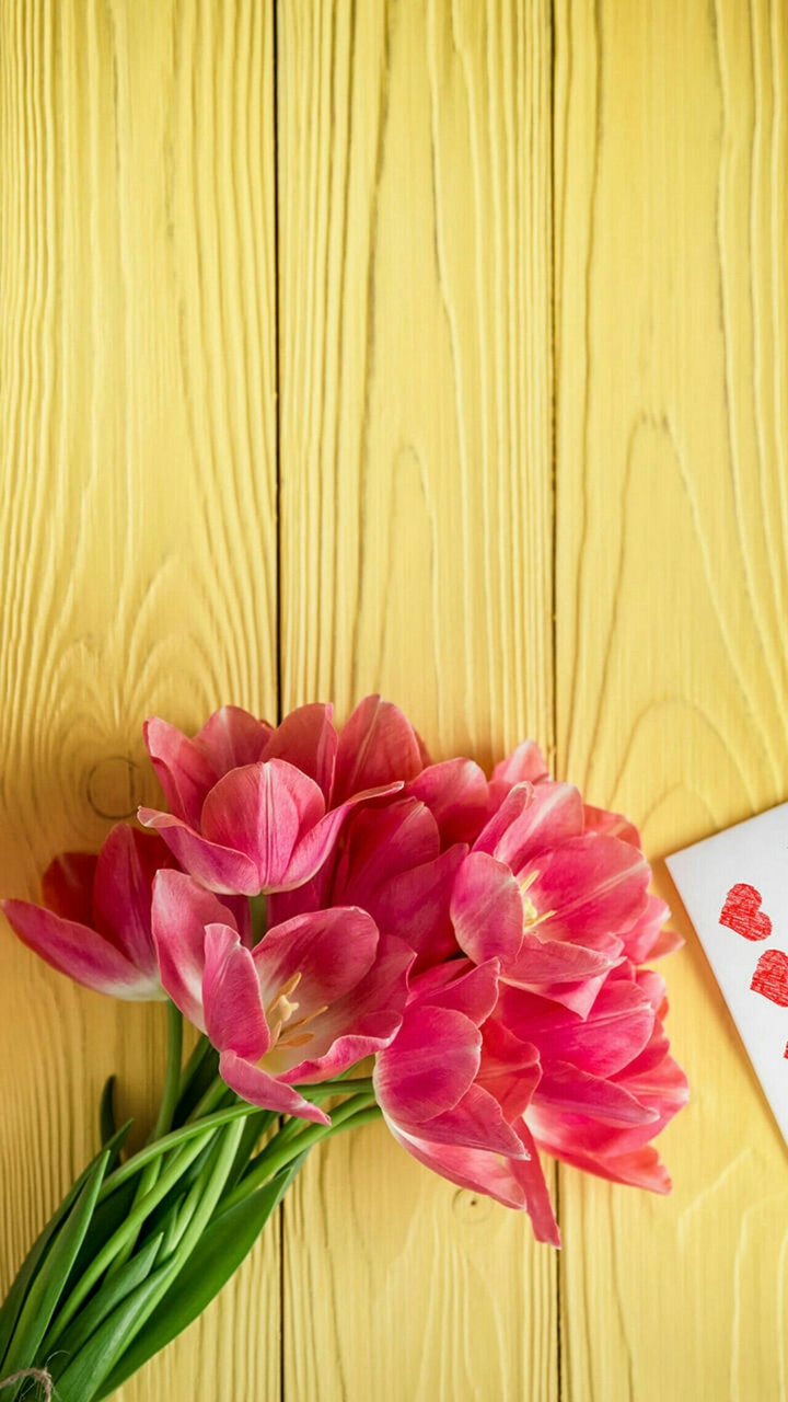 Beautiful pink Flowers