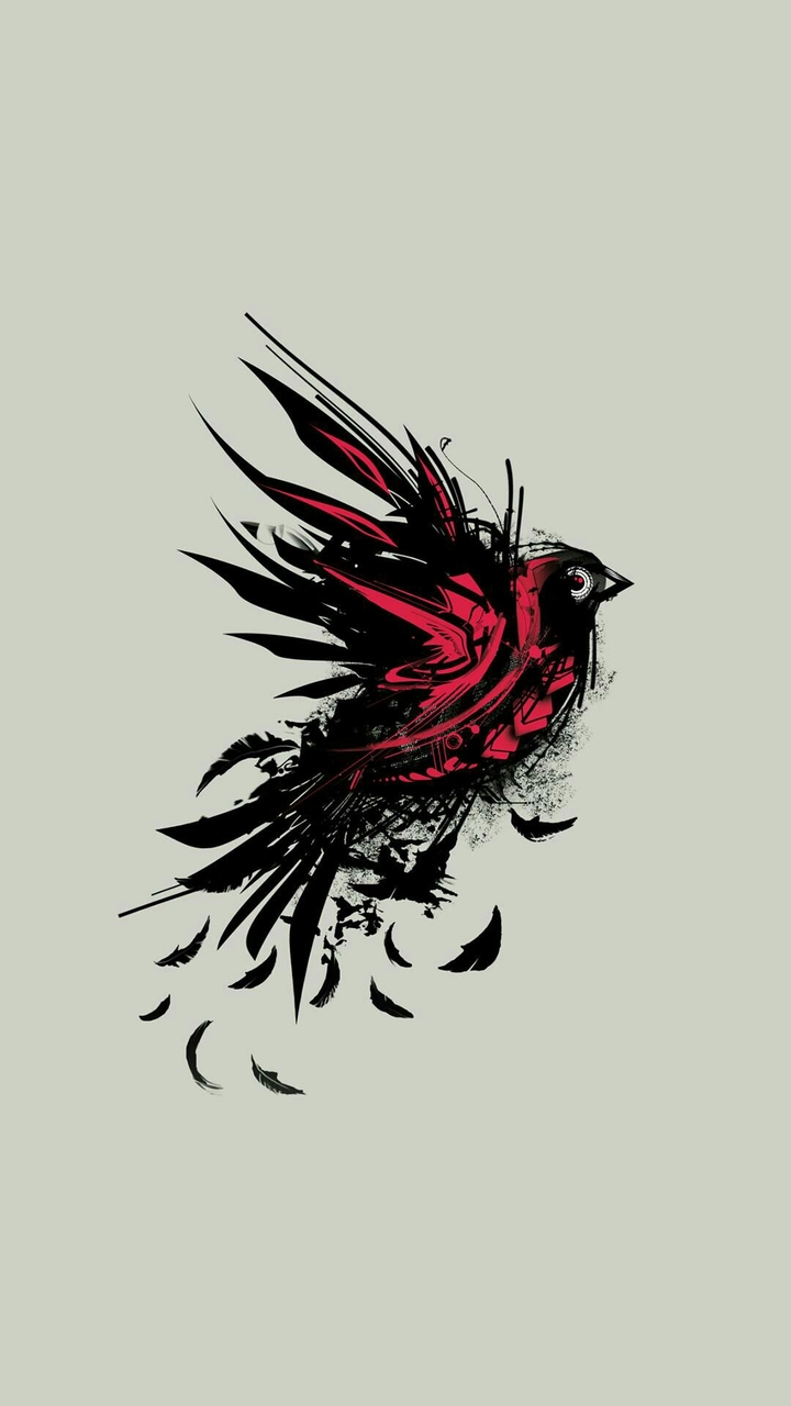 drawing bird