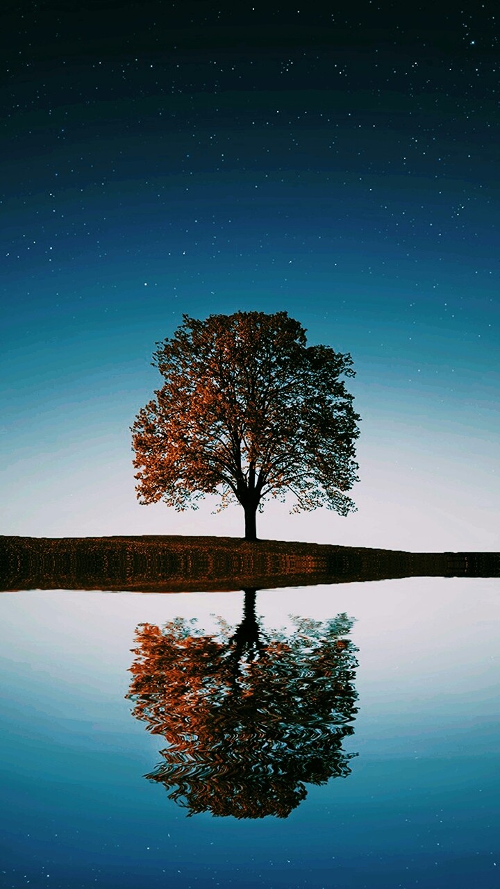 a tree