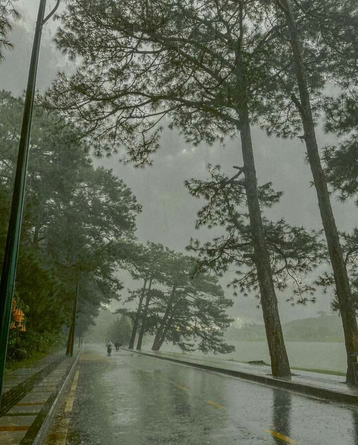 Rain