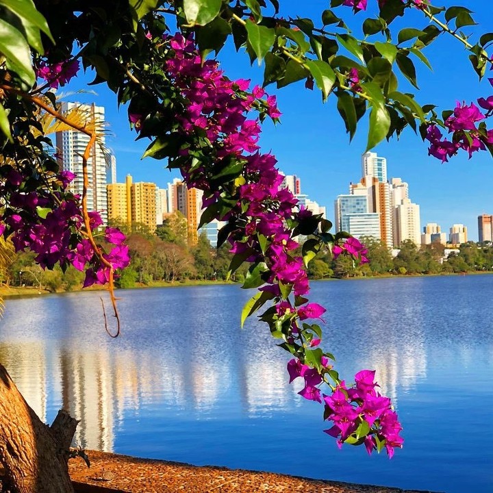 Wishing everyone a lovely
day...
